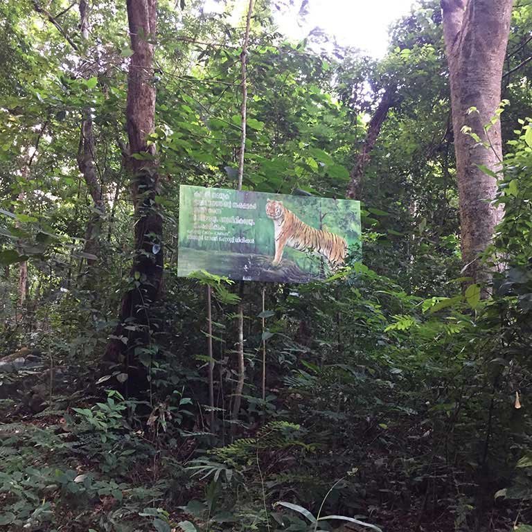 Sign of a tiger